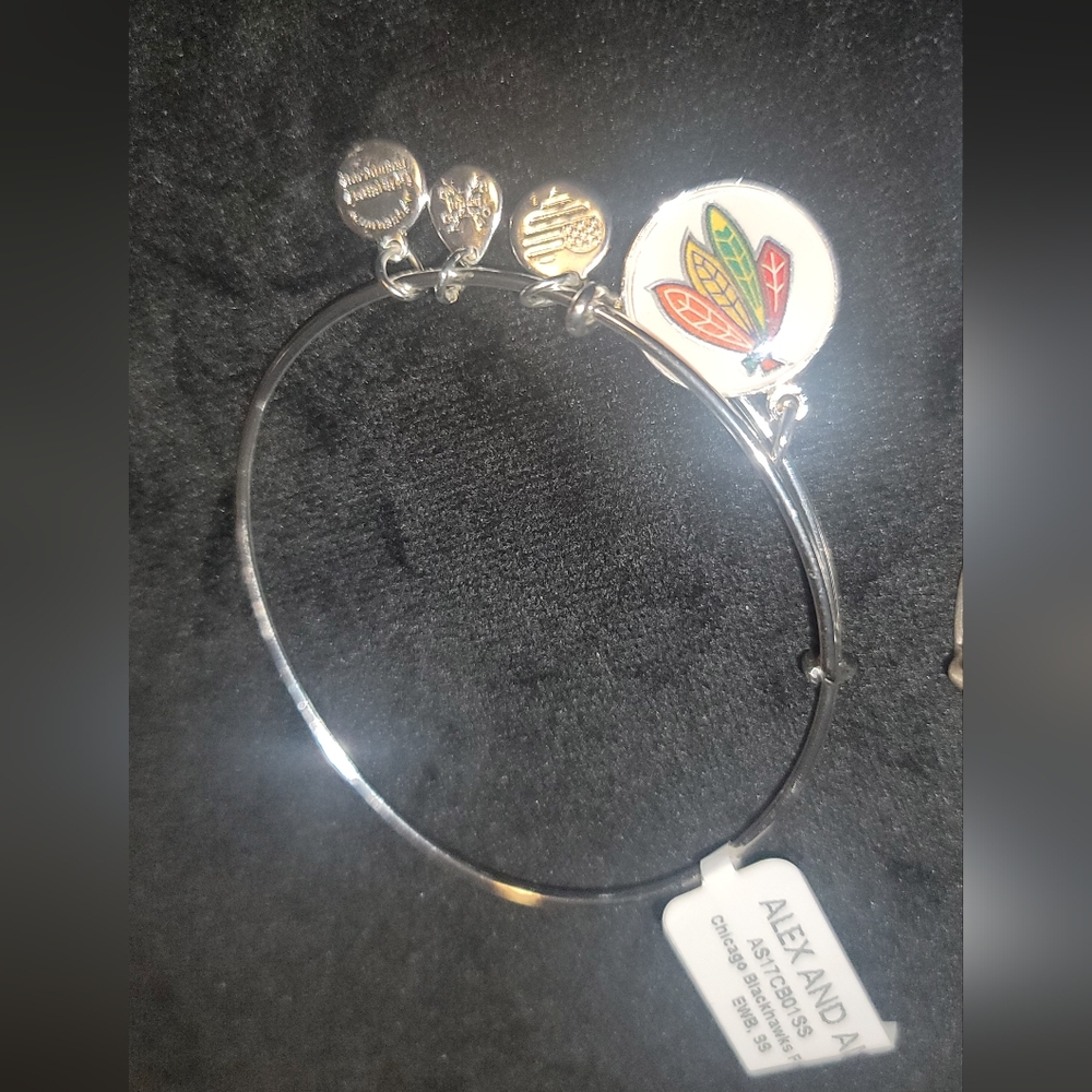 Alex and Ani Silver Chicago Blackhawks Charm Bracelet